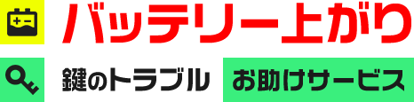 株式会社トライズ